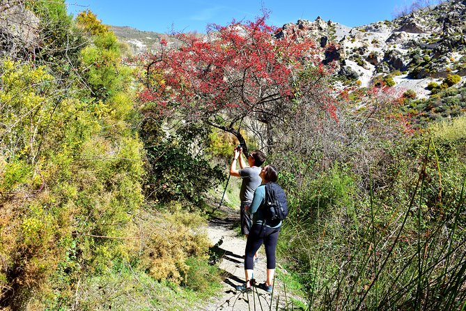 Hiking in the Canyon of the Monachil Cubs in Granada - Why Los Cahorros makes a strong half-day outing