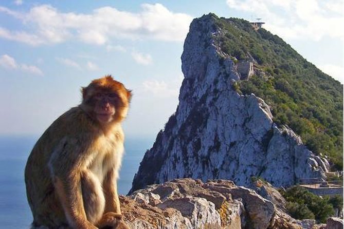 Historic Gibraltar Rock and St Michael's Cave Tour from Seville - Timing, walking, and comfort