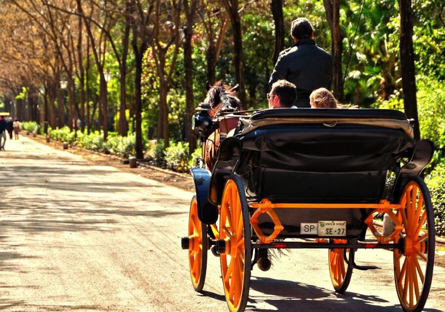 Horse-Drawn Carriage Ride Through Seville - Why a carriage is a useful way to see Seville