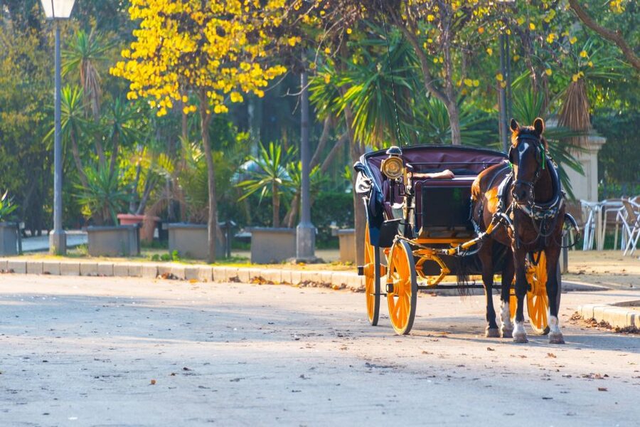 Horse-Drawn Carriage Ride Through Seville - San Telmo Palace and the Torre del Oro