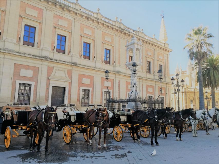 Horse-Drawn Carriage Ride Through Seville - The Spanish guide question