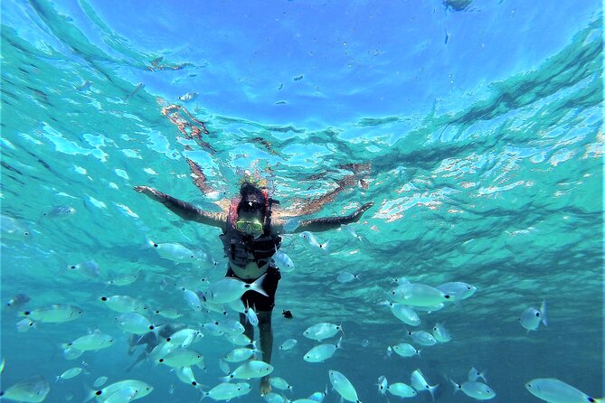 Ibiza Snorkeling Beach and Cave Tour - Key points to know before you book