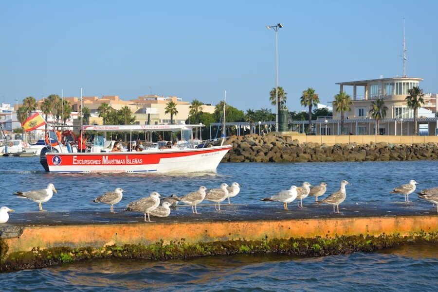 Isla Cristina/Isla Canela: Boat Trip Through the Marshes - Mussel rafts, local prawns, and Huelva wine