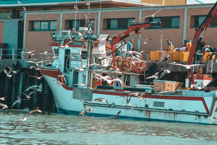 Isla Cristina/Isla Canela: Boat Trip Through the Marshes - Starting among Isla Cristina’s fishing boats