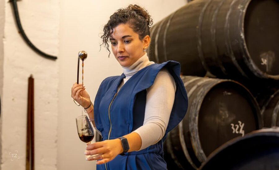 Jerez: Bodegas Álvaro Domecq Guided Tour with Wine Tasting - Group Size, Guides, and the Personal Feel