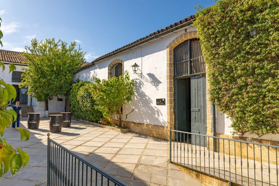 Jerez: Bodegas Álvaro Domecq Guided Tour with Wine Tasting - Optional Iberian Food and Flamenco Nearby