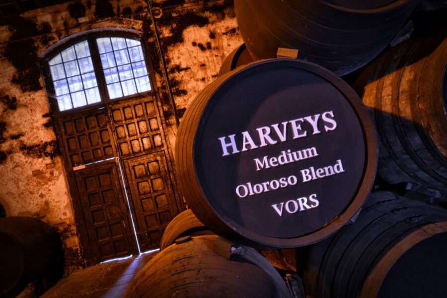 Jerez: Bodegas Fundador Guided Tour with Tasting Session - The barrel cellars show the scale of Fundador