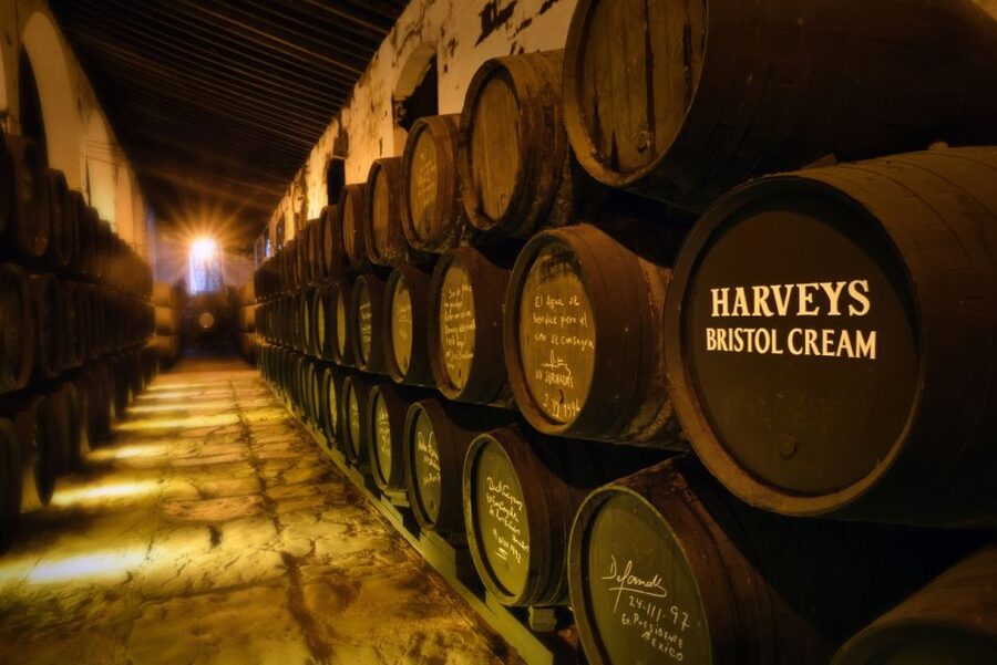 Jerez: Bodegas Fundador Guided Tour with Tasting Session - From vineyard to barrel: how sherry and brandy are made