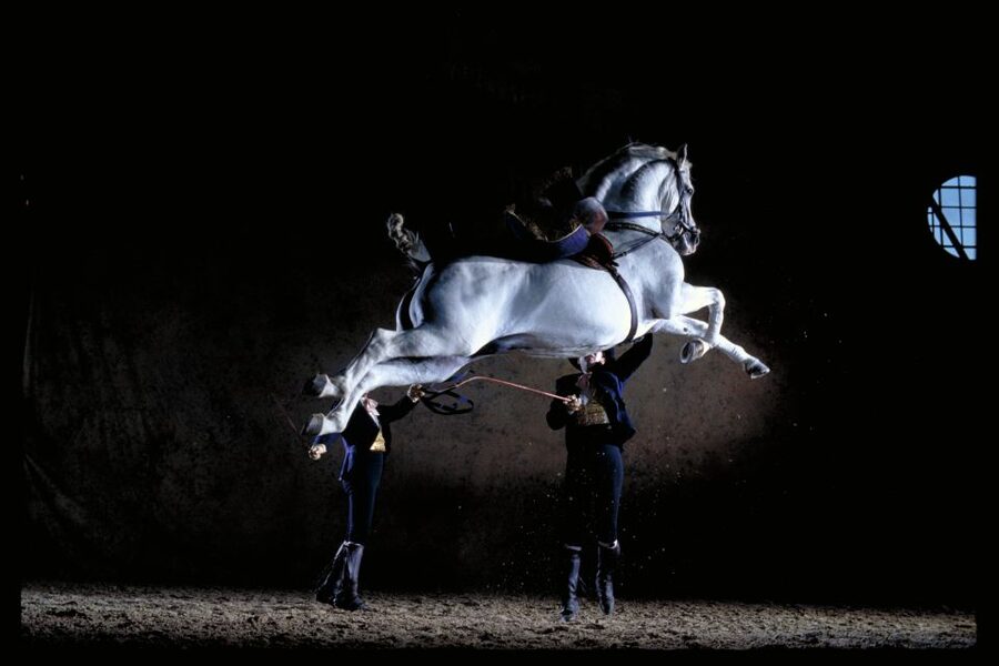 Jerez de la Frontera: Andalusian Horse Dance and Museums - Key points to know before you go