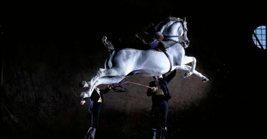 Jerez de la Frontera: Andalusian Horse Dance and Museums - Watching the horses prepare backstage