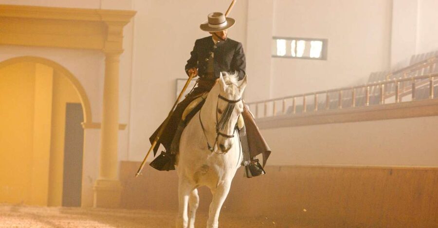 Jerez de la Frontera: How the Andalusian Horses Dance - Why the Andalusian horses are the main event