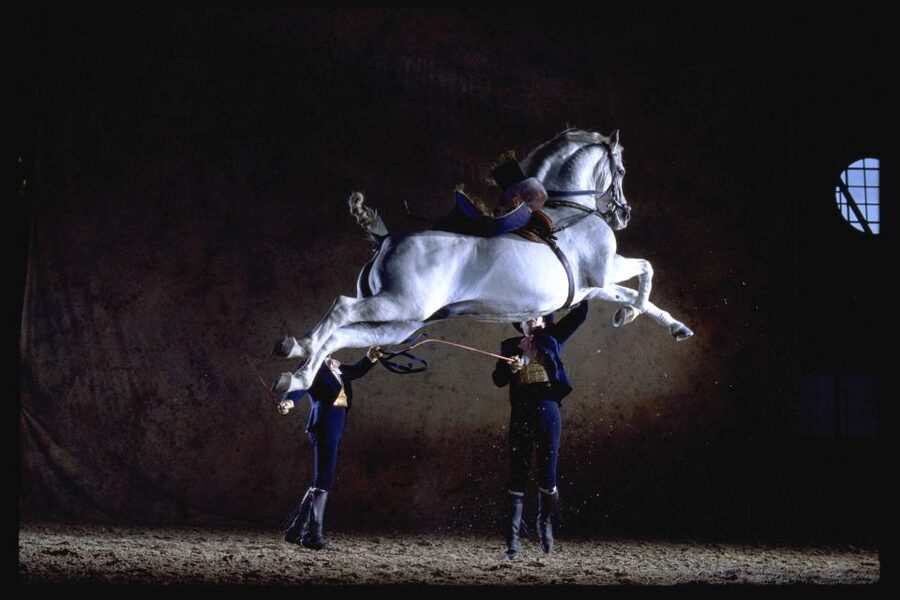 Jerez de la Frontera: How the Andalusian Horses Dance - The Carrousel provides a proper finale