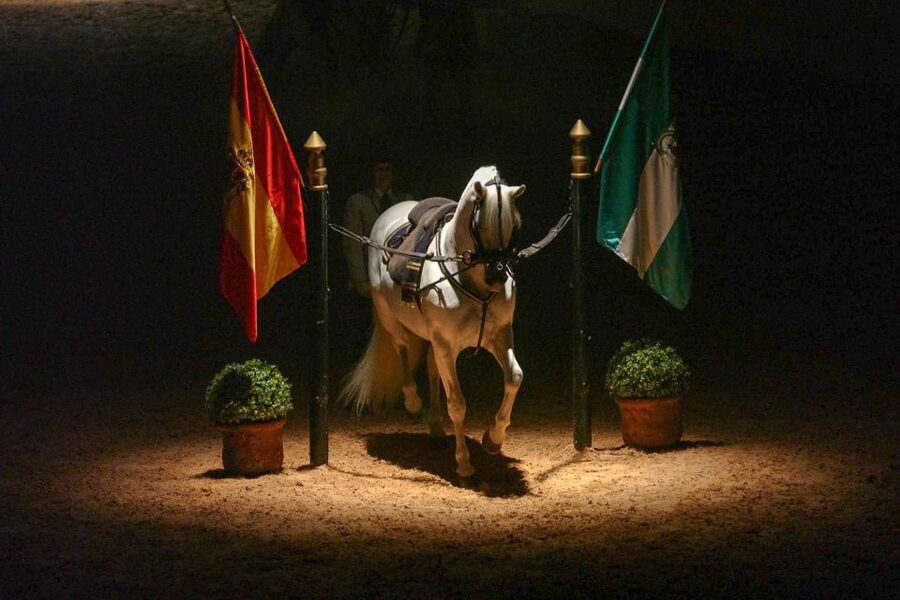 Jerez de la Frontera: How the Andalusian Horses Dance - The Royal School setting and what to do before the show