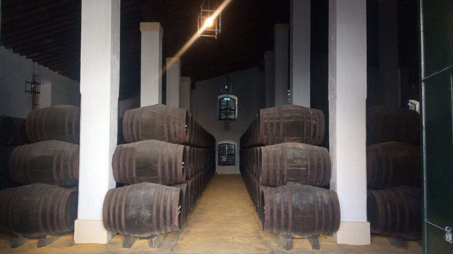 Jerez de la Frontera: Sherry Winery Tour with Tasting - Inside the 1886 Cayetano del Pino winery