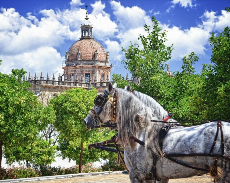 Jerez: Historic Center Guided Tour - San Miguel and the Christian quarter