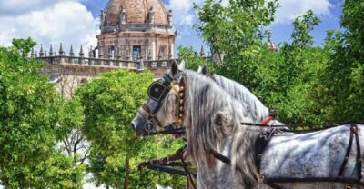 Historic Center Guided Tour