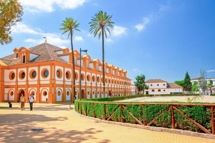 Jerez: Royal Andalusian School of Equestrian Art Admission - What the $18 ticket is really worth