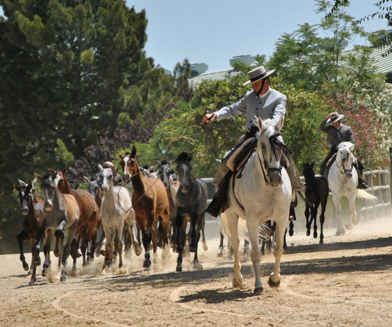 Jerez: Yeguada de la Cartuja Carthusian Horses Tour - Should you book this horse tour?