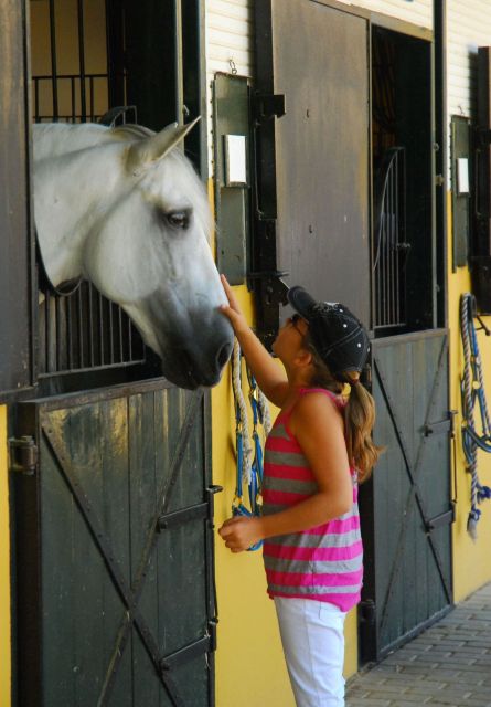 Jerez: Yeguada de la Cartuja Carthusian Horses Tour - The main-arena dressage exhibition