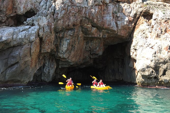 Kayak and snorkel excursion to Cova Tallada - The marine reserve, plants, animals, and cave story