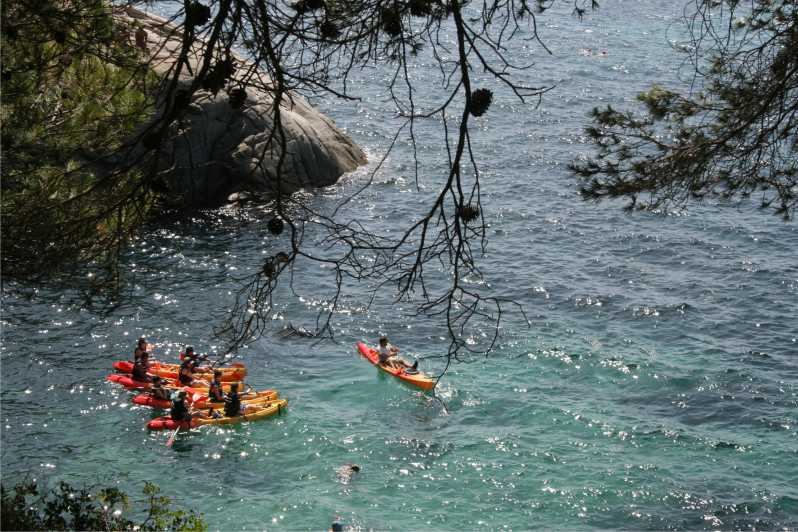 Kayak and Snorkel in Playa de Aro, Costa Brava - Why this Playa de Aro outing works so well