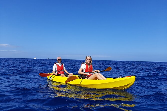 Kayak Safari with Dolphin and Turtle Watching in Guaza - Dolphins and turtles: wonderful when nature cooperates