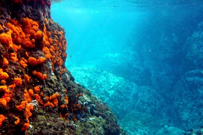 Kayak & Snorkel Tour in Cerro Gordo Natural Park, La Herradura - Key points to know before booking