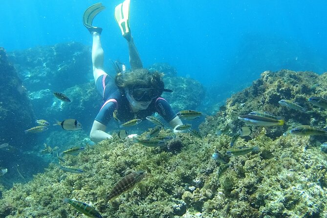 Kayak & Snorkel Tour in Cerro Gordo Natural Park, La Herradura - Sea caves, coves, and the view from below the cliffs