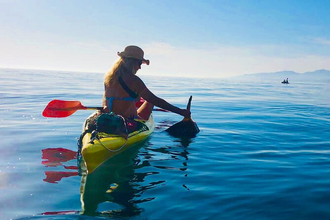 Kayak & Snorkel Tour in Cerro Gordo Natural Park, La Herradura - Snorkeling in clear or murky water