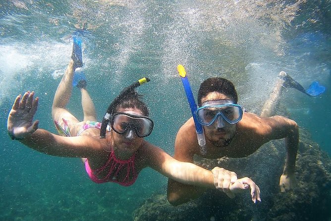 Kayak & Snorkel Tour in Cerro Gordo Natural Park, La Herradura - Meeting in La Herradura and preparing for the beach