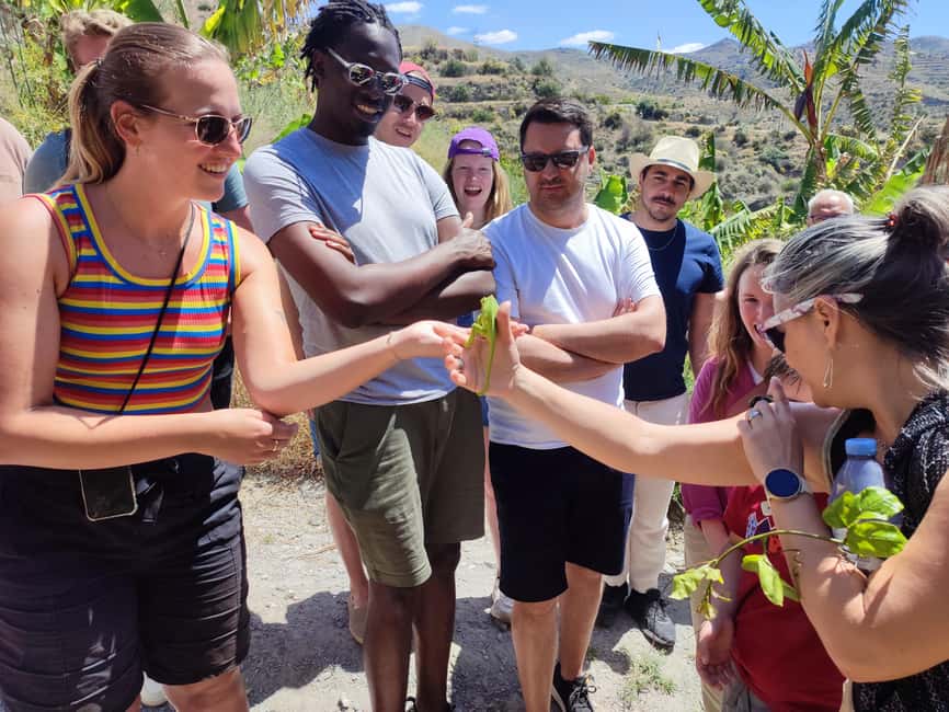La Herradura Coffee Farm: tour in Europe's only plantation - What the guided walk feels like