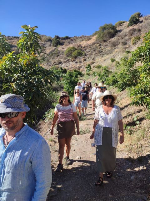 La Herradura Coffee Farm: tour in Europe's only plantation - Following coffee from plant to cup