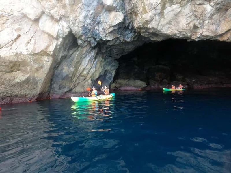 La Herradura: Kayak & Snorkel Tour to Cerro Gordo Reserve - Snorkeling among fish, corals, and sea tomatoes