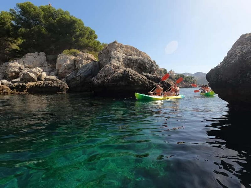 La Herradura: Kayak & Snorkel Tour to Cerro Gordo Reserve - What the guides add to the experience