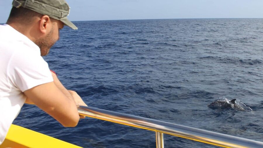 Lanzarote: 2.5-Hour Sunset and Dolphins Cruise - Key points at a glance