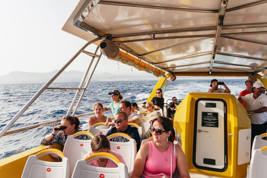 Lanzarote: 2.5-Hour Sunset and Dolphins Cruise - Who should book this Lanzarote experience?