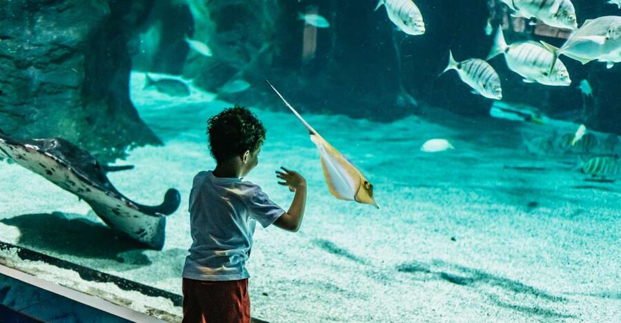 Lanzarote: Aquarium Entry Ticket - What the $18 ticket really gets you