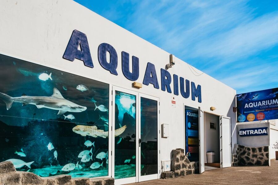 Lanzarote: Aquarium Entry Ticket - Canary Island species bring local context
