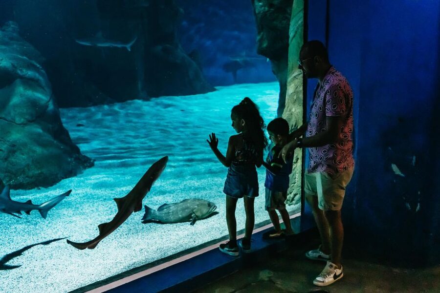 Lanzarote: Aquarium Entry Ticket - Tropical fish and coral reef color