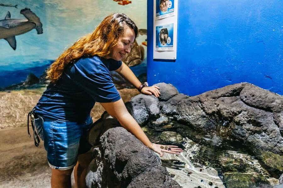 Lanzarote: Aquarium Entry Ticket - The open-sea tank and shark tunnel