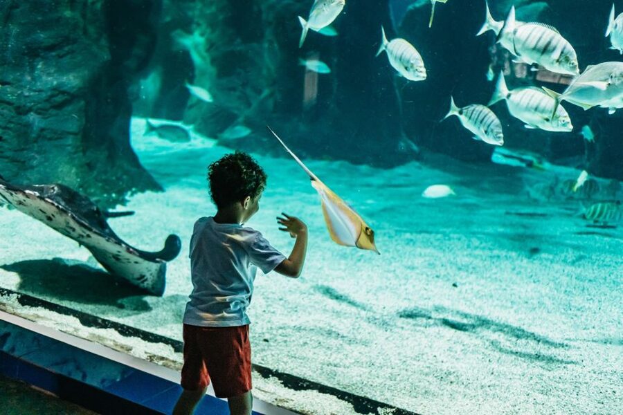 Lanzarote: Aquarium Entry Ticket - Entering the 33-tank aquarium