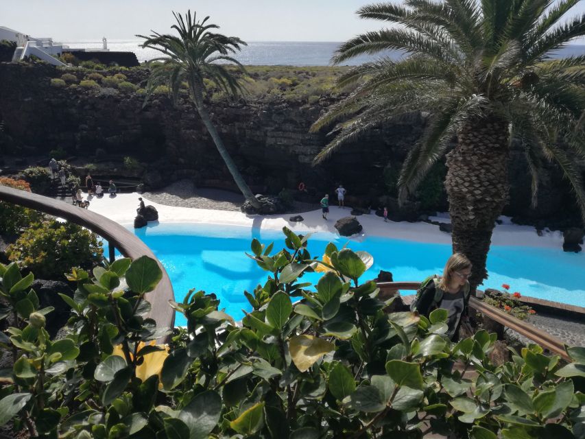 Lanzarote: Day Tour for Cruise Passengers - La Geria wine tasting in black volcanic soil