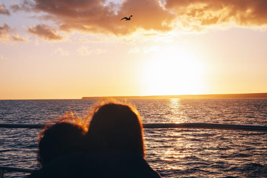 Lanzarote: Dolphin-Watching Sunset Cruise with Transfers - Getting to the boat from your hotel