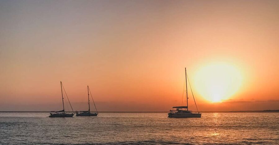 Lanzarote: Dolphin-Watching Sunset Cruise with Transfers - Mojitos, drinks, and finger foods