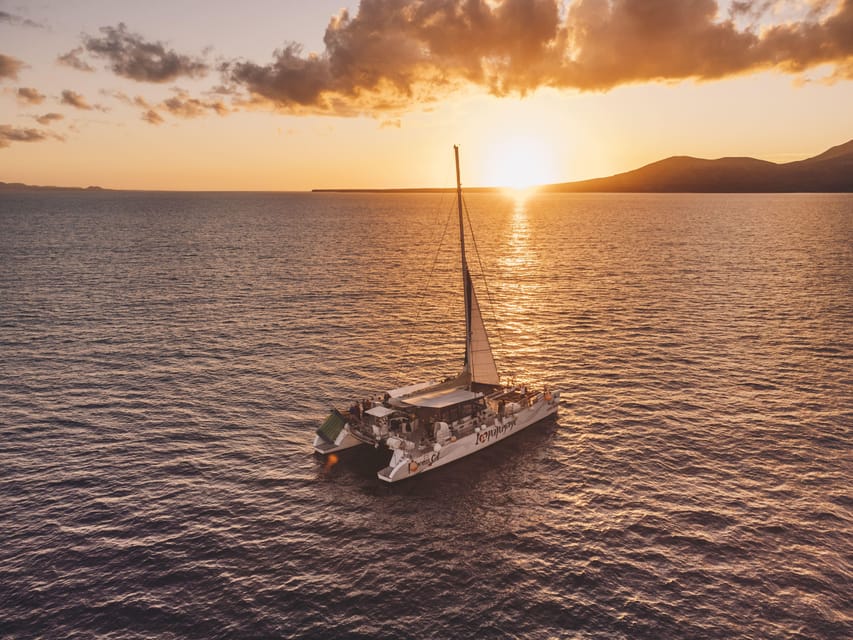 Lanzarote: Dolphin-Watching Sunset Cruise with Transfers - Boarding a stable catamaran, not a fast boat