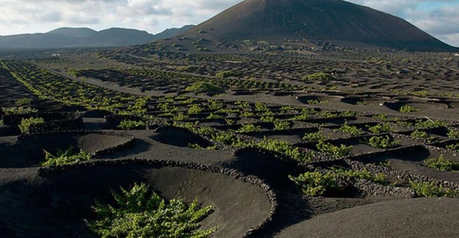 Lanzarote: Full Day Bus Tour with Scenic Views - Why this eight-hour Lanzarote tour works