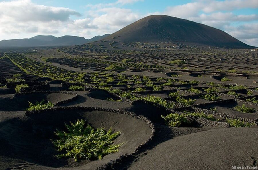 Lanzarote: Full Day Bus Tour with Scenic Views - Timanfaya National Park and the volcano route