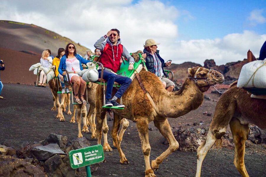 Lanzarote: Full-Day Island Highlights Tour - La Geria: wine grown in black volcanic soil
