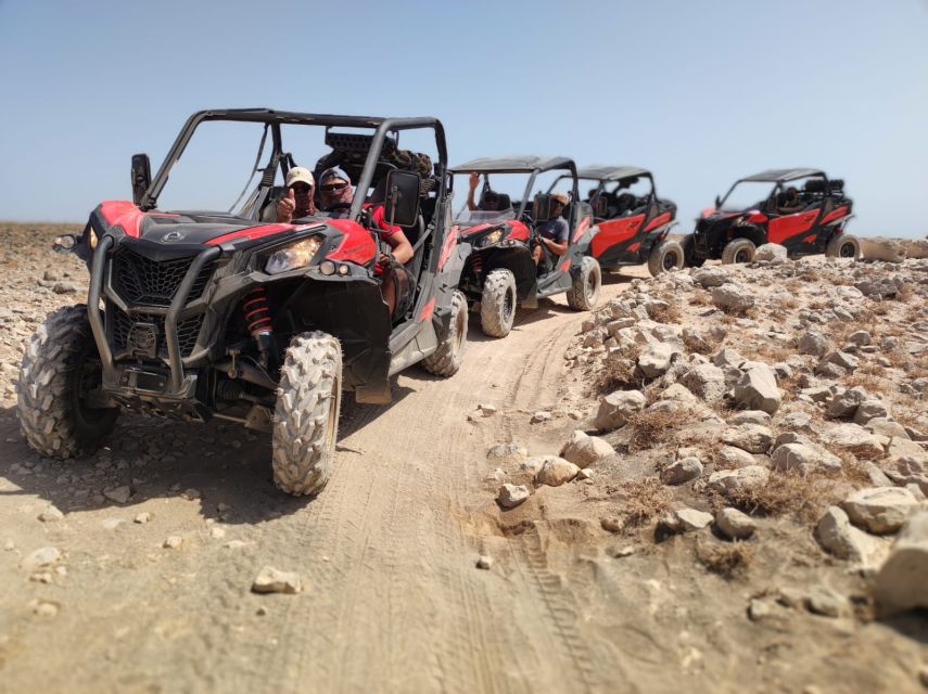Lanzarote: Guided Can-Am Trail Buggy Tour - Key points at a glance