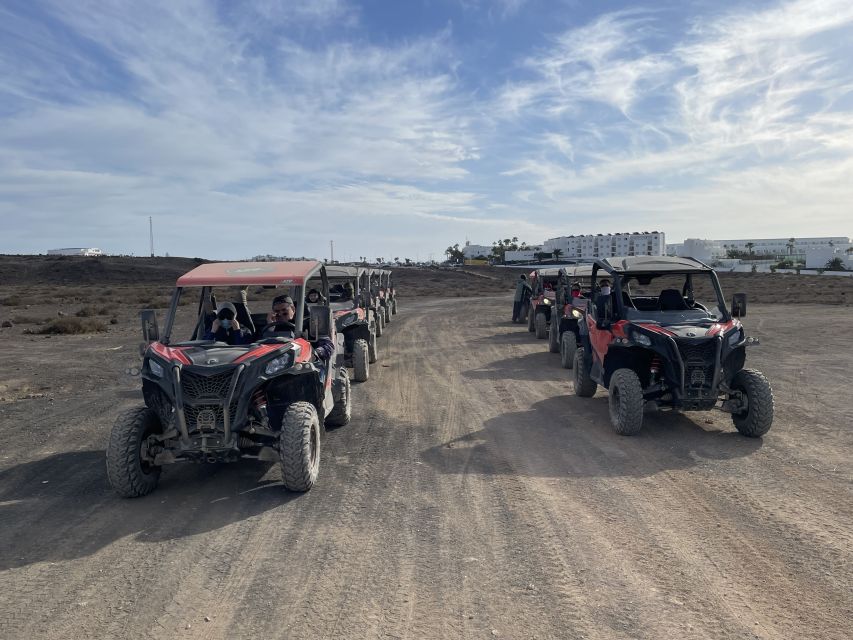 Lanzarote: Guided Can-Am Trail Buggy Tour - Who should book it?
